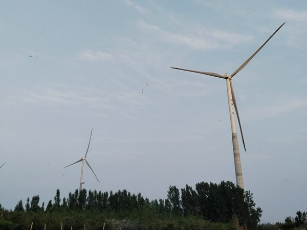 南阳工程施工业绩补录入库,南阳建筑施工业绩录入四库一平台