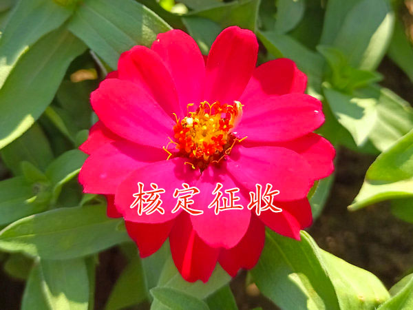 商丘有可以核定征收的优惠园区吗？