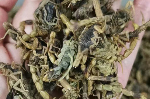 严格选用高品质的药材